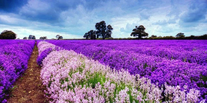 5denní zájezd do Provence s ubytováním na 2 noci se snídaní