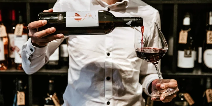 Řízená degustace vína "Tour de France": tapas i výklad francouzského someliéra
