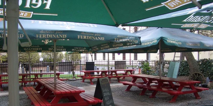 Tři nebo šest pivek Ferdinand 11° + chlebové hranolky s dipem
