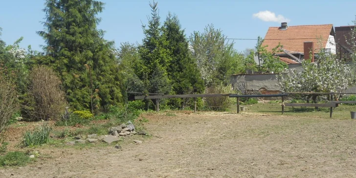60 minut v koňském sedle: vyjížďka pro zkušené nebo výuka jízdy pro začátečníky