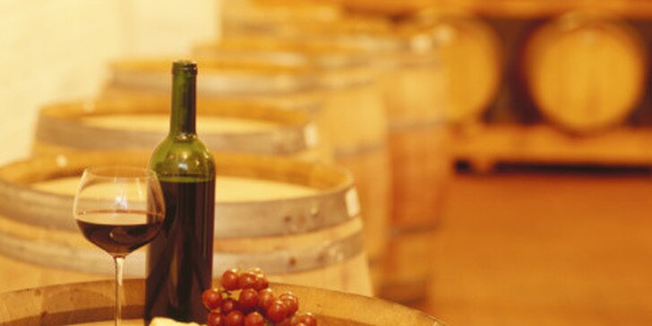 Vinařský kurz spojený s degustací excelentních vín