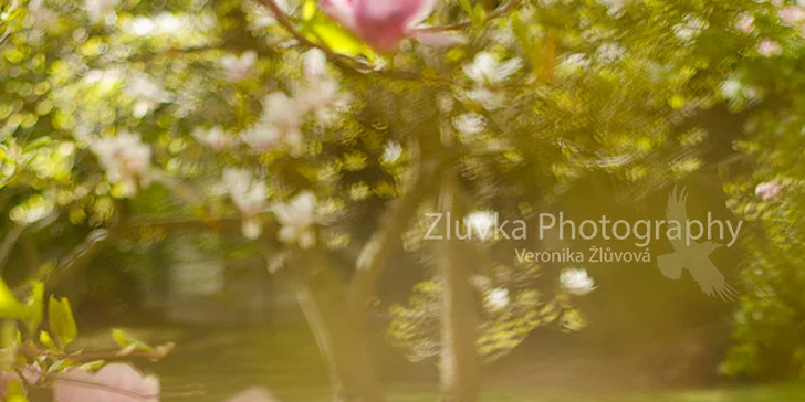 Fotografování psího mazlíčka pro krásnou vzpomínku