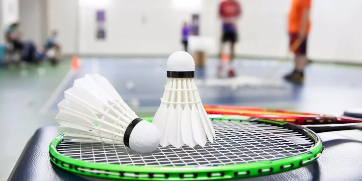 Protáhněte tělo při badmintonu – hodinový pronájem kurtu v Třešňovce