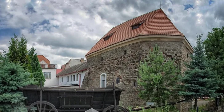 Bašta v Husitské baště: Poctivý burger s domácími hranolky a tatarkou