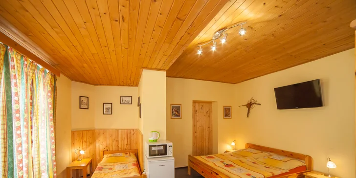 Ve všech pokojích najdete také ledničku.