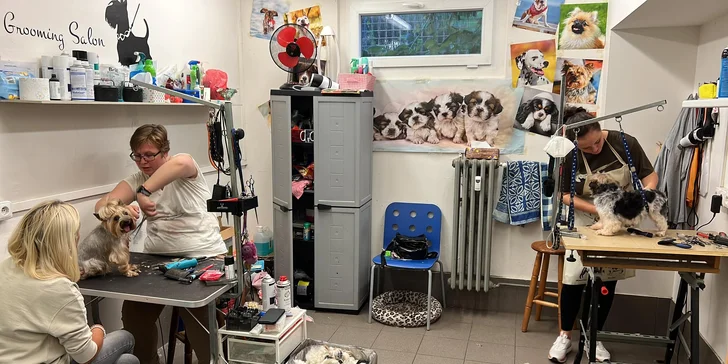Součástí je střih, koupel, úprava drápků, čištění uší a análních žláz.