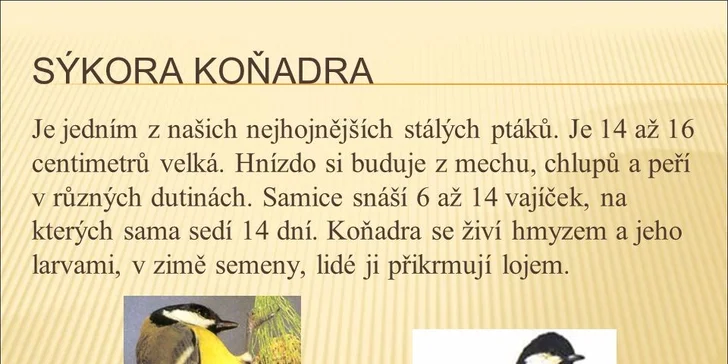 Festival Okoř se šťávou: Wohnout, UDG, Voxel, ATMO, Slza a další skvělá muzika