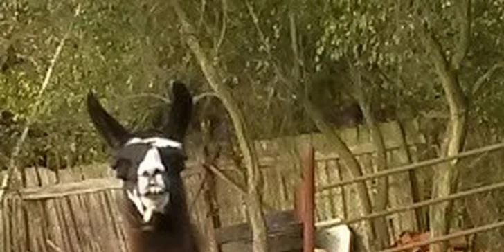 Nasedněte na koňský hřbet a užívejte si ve dvou krásy přírody