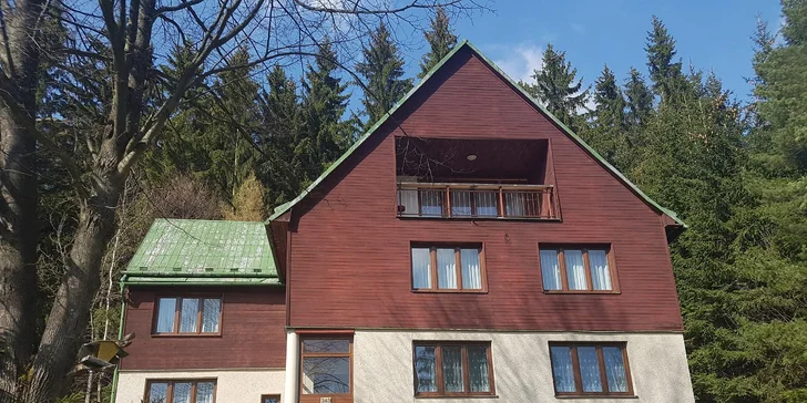 Aktivní odpočinek v Jeseníkách: Wellness, lanový park, kola a další