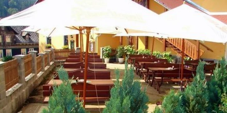 299 Kč za DVA hovězí steaky se zeleninou, DVĚ domácí paštiky a DVĚ porce domácích lívanců. Tříchodové menu v hotelu Švejk na Bublavě. Sleva 54 %.