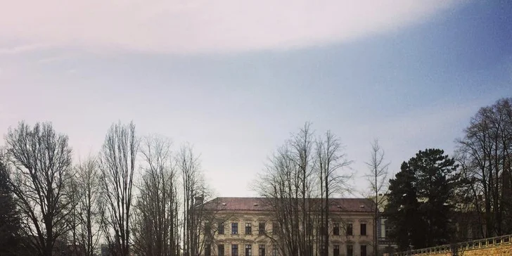 Za jídlem i zábavou: Dva lupeny na Jičínský Food Festival (18. 6.)