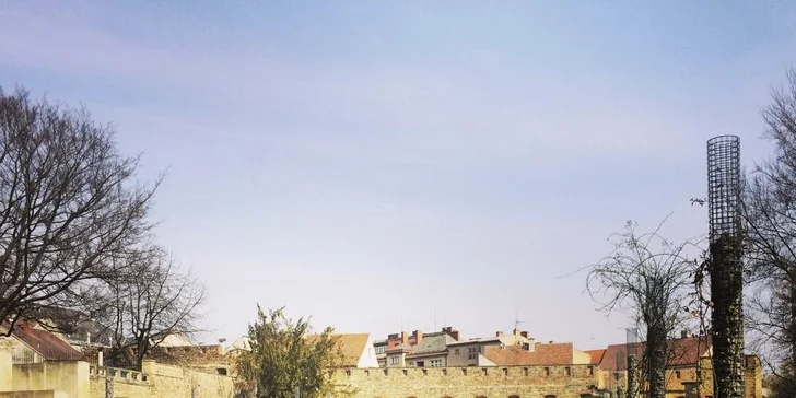 Za jídlem i zábavou: Dva lupeny na Jičínský Food Festival (18. 6.)