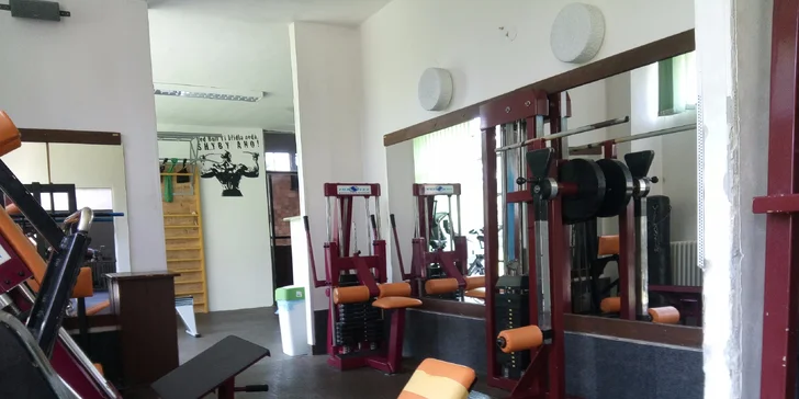 Vstup do fitka a fyzioterapie nebo lekce s trenérem