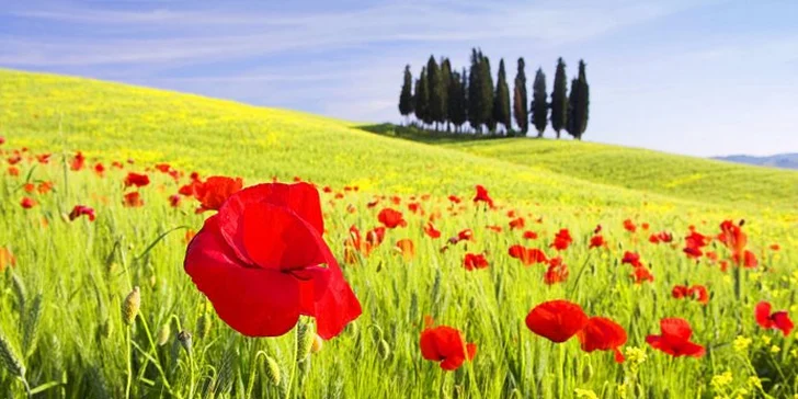 Výlet do Florencie a Fiesole, užijte si Toskánsko