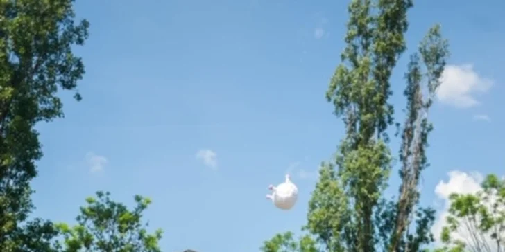 K dispozici budou toalety i občerstvení. 