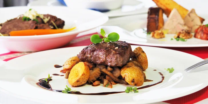 4chodové menu s foie gras, steakem či supreme a výhledem na přehradu
