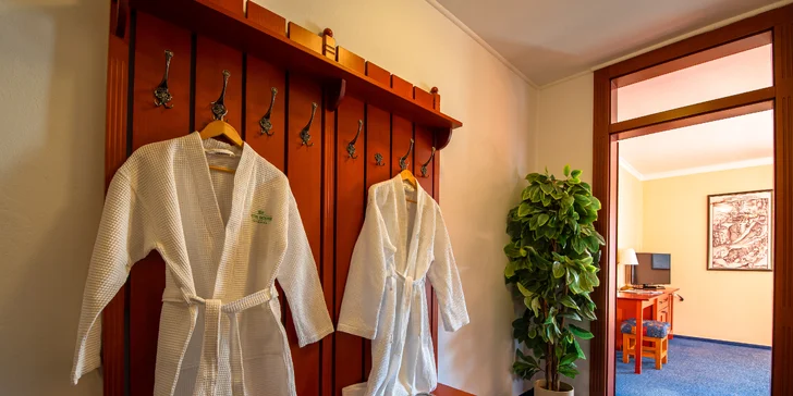 Dokonalé rozmaznávanie tela i duše poskytuje pobyt vo wellness.