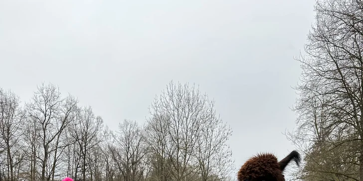 Rezervaci si udělejte telefonicky předem.