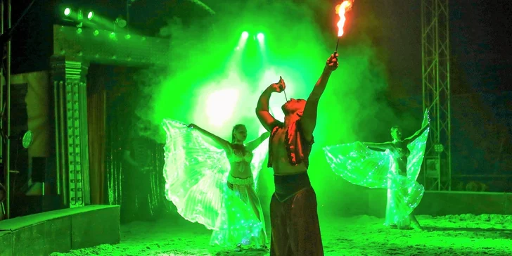 Vstup na cirkusovú show plnú akrobacie a zábavy do CIRKUSU FRANCESKO JUNG v Bardejove, Sabinove či Košiciach