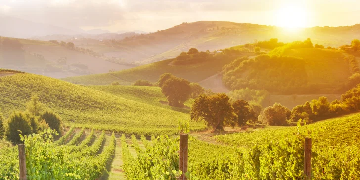 Penzion byl původně statkem, prošel rekonstrukcí a teď si v něm užívají milovníci vína.