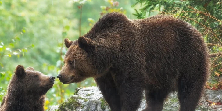 Naučíte se od profesionálního fotografa vše, co je potřeba.