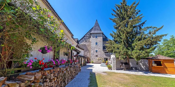 Hrad Vildštejn je najstarší hrad v Čechách, ktorý je stále v prevádzke. Jeho história siaha až do polovice 12. storočia.