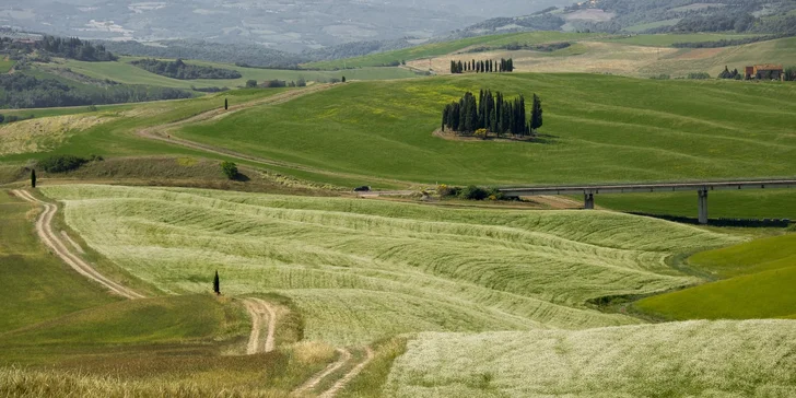 V oblasti Val d'Orcia se budete kochat lány zeleně i vinicemi.