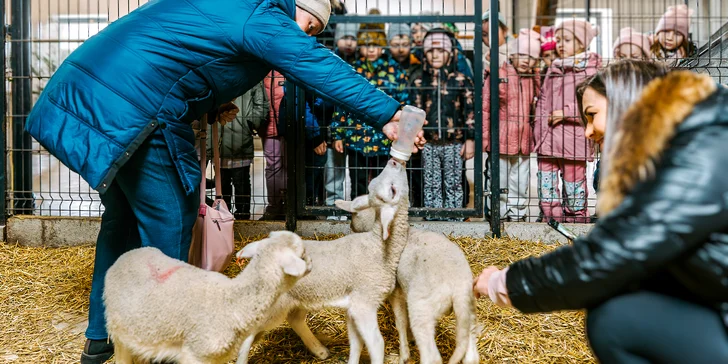 Vstup na biofarmu: rodinný zážitok s kŕmením zvieratiek a atrakciami, krmivo v cene