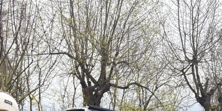 V cíli vaše ratolesti dostanou na památku diplom „Malý psovod Českého ráje“ a drobnost jako dárek. 