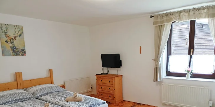 Najdete tu i plně vybavenou kuchyňku s posezením, koupelnu s toaletou, samozřejmostí je televize a Wi-Fi. 