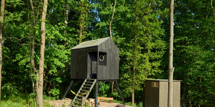 V blízkém okolí je kopa míst, která stojí za vidění? Co si zajet třeba na safari ve Dvoře Králové nebo k Hospitálu Kuks či do Adršpašsko-teplických skal?