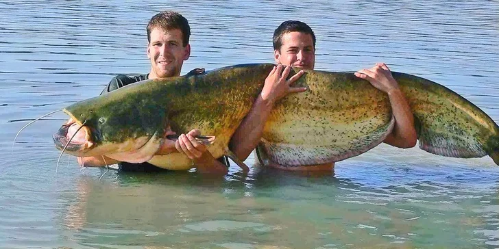 Na ryby do Španělska: 8 dní v ráji rybářů Rancho Rio Ebro