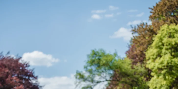 Hodina discgolfu pod vedením trenéra – na výběr máte 12 hřišť po celé ČR