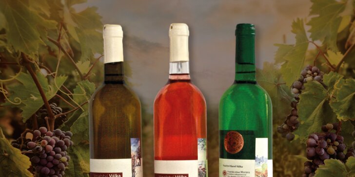Balíček exkluzivních vín včetně degustace s výkladem ve Vinařství Válka