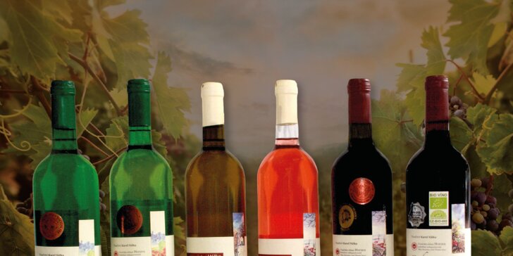Balíček exkluzivních vín včetně degustace s výkladem ve Vinařství Válka