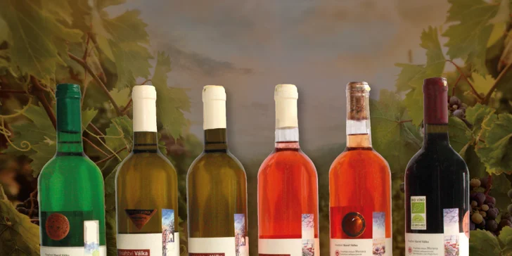 Balíček exkluzivních vín včetně degustace s výkladem ve Vinařství Válka