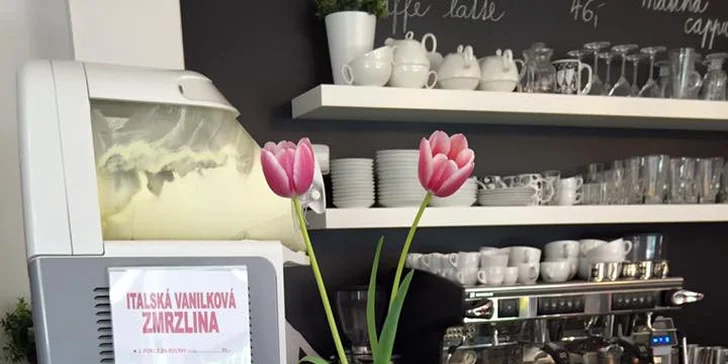 Kočičí kavárna: Káva nebo domácí limča a dezert v prima společnosti