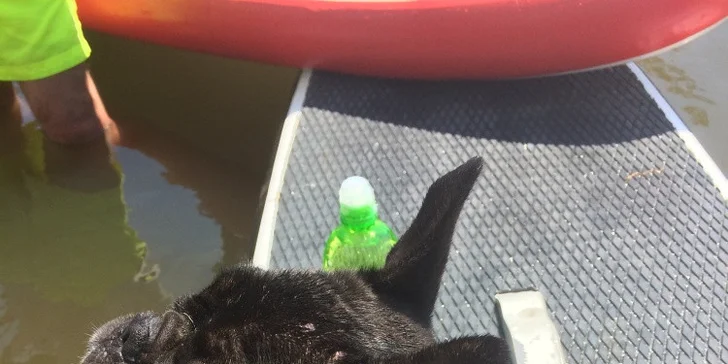 Vodní dobrodružství: Sjíždění řeky Opavy na paddleboardu