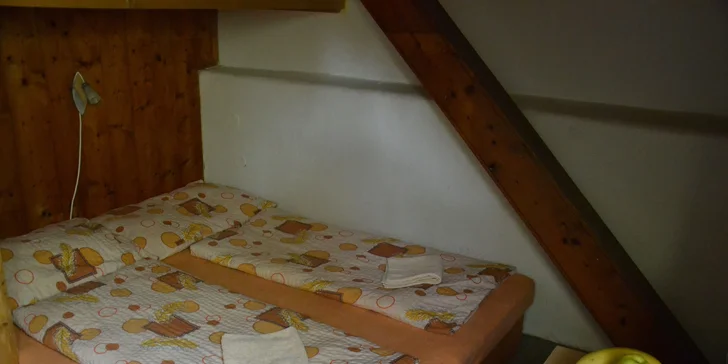 Dovolená v Jeseníkách včetně polopenze + pobyt až pro 2 děti do 16 let zdarma