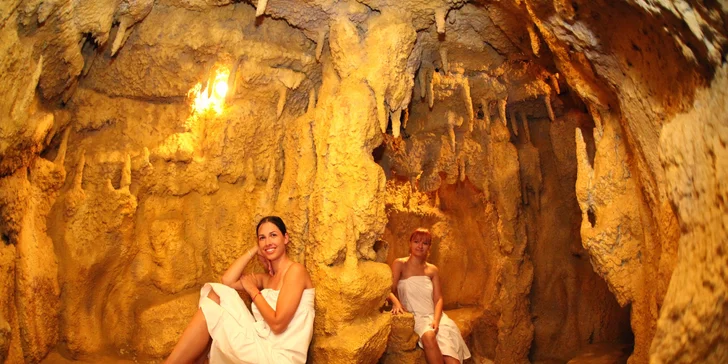Léto na Seneckých jezerech s neomezeným wellness + 2 děti do 12 let zdarma