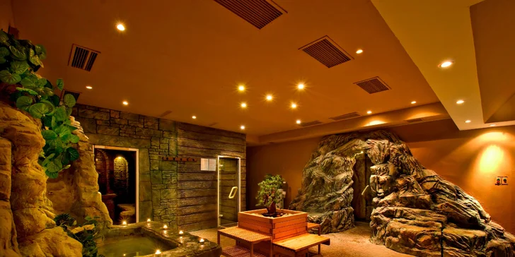 Léto na Seneckých jezerech s neomezeným wellness + 2 děti do 12 let zdarma