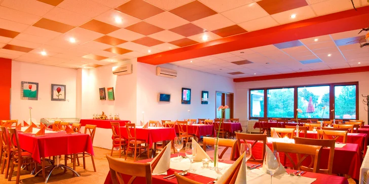 Léto na Seneckých jezerech s neomezeným wellness + 2 děti do 12 let zdarma