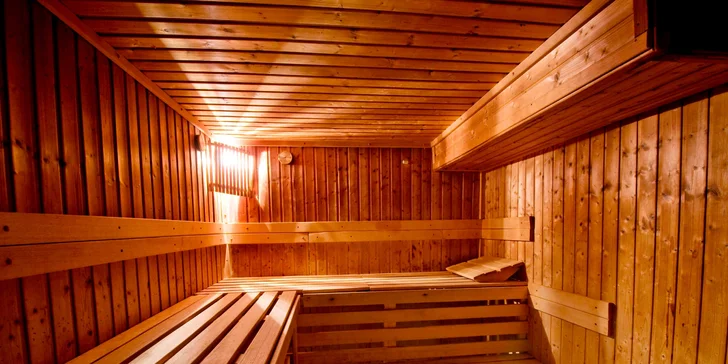 Léto na Seneckých jezerech s neomezeným wellness + 2 děti do 12 let zdarma