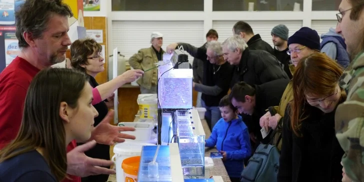 Vstupné na největší výstavní a prodejní akvaristickou burzu Ryby a rybičky