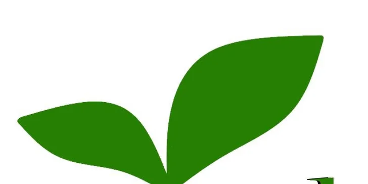 Zdravý veganský oběd - polední menu z Veganolu vč. rozvozu