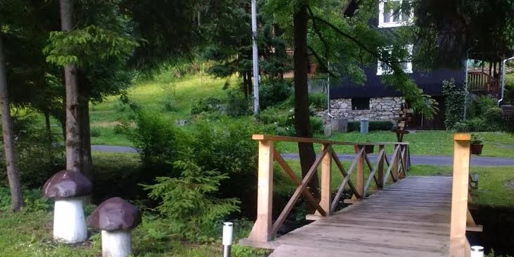 Dovolená v Jeseníkách včetně polopenze + pobyt až pro 2 děti do 16 let zdarma