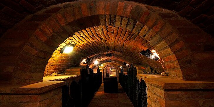 Zážitkové poznání Valtického Podzemí s degustací vín ANNOVINO LEDNICE
