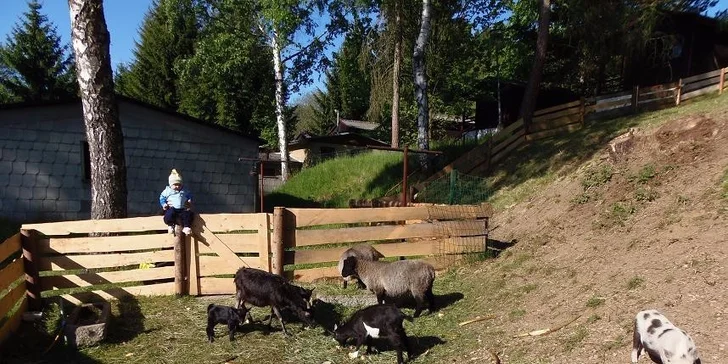 Last minute Šumava: 4 dny s polopenzí nabité sportem, poznáním a prima zážitky