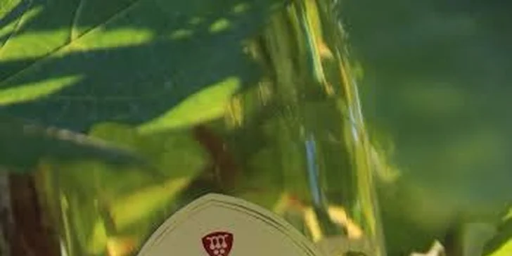 Zážitkové poznání Valtického Podzemí s degustací vín ANNOVINO LEDNICE