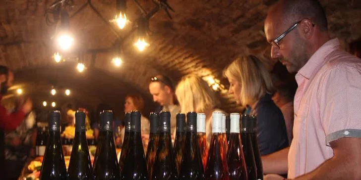 Zážitkové poznání Valtického Podzemí s degustací vín ANNOVINO LEDNICE